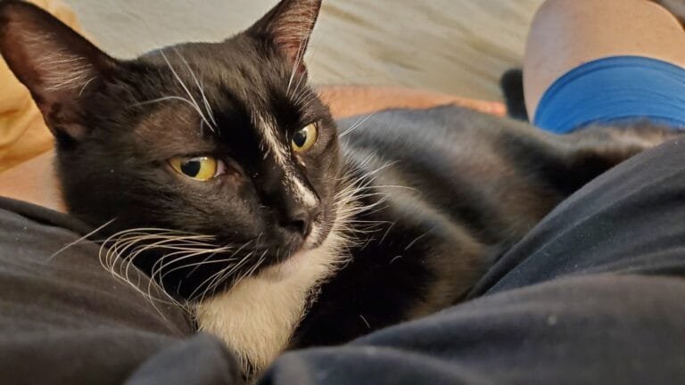 Bye Tuber. You were the best friend I always wanted and got.